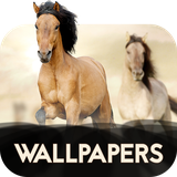 com.david_wallpapers.horses