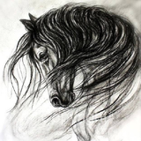 com.cintaarimbi.SketchandDrawaHorse
