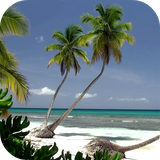 com.pg.oceanbeach