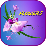 com.douaastyle.flowersimages1