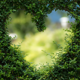 com.mamosoft.romanticwallpapers