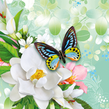 com.livewallpapers3d.butterflieslivewallpaperfree