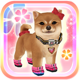 jp.pascal.mydogmystyle