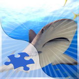 com.yodesoft.android.game.yopuzzleSharks