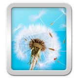 com.androidwasabi.wallpaper.dandelion