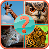 com.sbitsoft.guessanimal