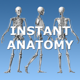 net.instantanatomy.anatomylectures