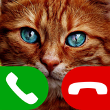 com.FakeCallCat