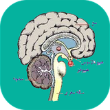 com.sra_ht.anatomemagzvaasab