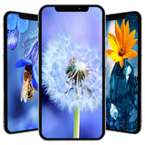 com.newandromo.dev25102.app171447
