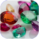 barnehsan.anvaesangha