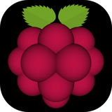 com.tencarssoftware.veryraspberry