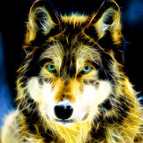 com.lux.neonwolflivewallpaper