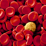 com.gospace.hematologiaclinica