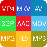 video.format.converter