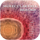 ghotbi.zistshenasiemolokuli