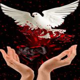 com.amanrajapps.redblackheart
