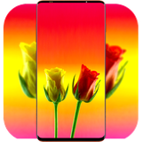 com.RoseWallpaper.flowerwallpaper.naturewallpaper.rosebackground