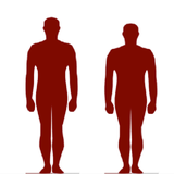 compare.rares.comparingheights