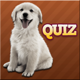 krispol81.rasypsowquiz