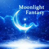 jp.co.a_tm.android.plus_moonlight_fantasy2