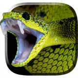 com.credianz.snake