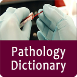 com.patho.patholgydictionyapp