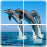 com.xidea.OceanPuzzle
