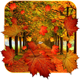 com.appbasic.falllivewallpaper