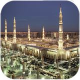 com.livewallpapershd.madina