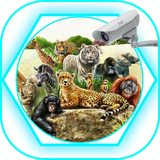 com.appdevl.zoo