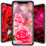 com.hkalil.paper.valentine.apk01