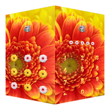 com.domobile.aut.cgerbera