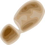 net.trekbuddy.midlet