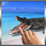 com.mvb.crocodile