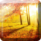 com.wallpaper.hai.sunshine