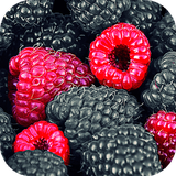 com.beautiful.wallpapers.and.hd.backgrounds.fruit