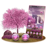 com.prettythemes.pink.sakura.lakeview