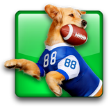 air.com.judobaby.DogFootballDemo