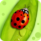 com.ladybug.wallpaper.ladybugbestwallpaper