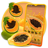 papaya.launcher.themes2021