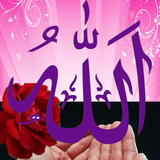 com.idealappo.allah.live.wallpaper