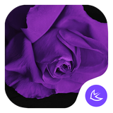 com.apusapps.theme.i_purple_flower_4e40c727b6