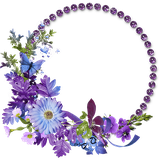 com.jalaram.springphotoframe