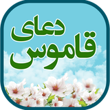 ir.qalam.qamus