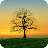 com.NatureWallpaper.nature.mountain.forest.landscape.wallpaper