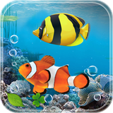 com.mwa.aquarium.fish.live.wallpaper.backgrounds.free