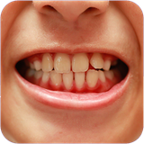 ghahreman.dandanghruhevakhorkhor