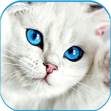 com.wallpaperb1.cats
