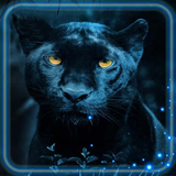 com.muspelheim809.pantherstyleblacklivewallpaper